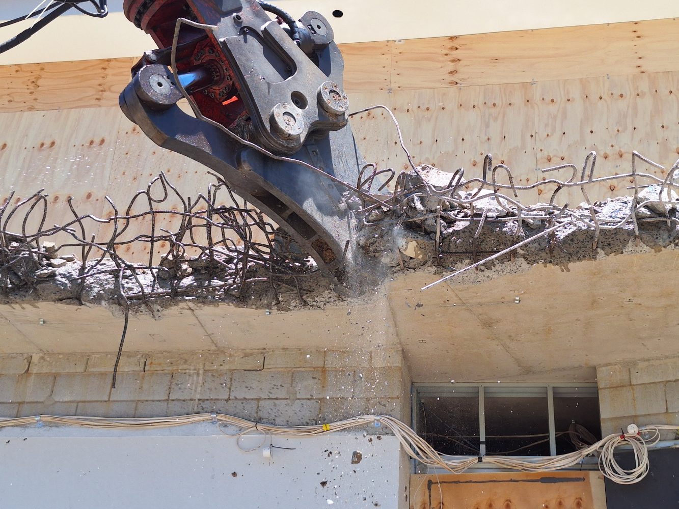 St Johns Forest Lake